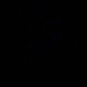 Meet your Posher, Tarynn